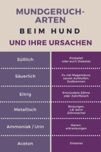 Hundemundgeruch und seine Ursachen