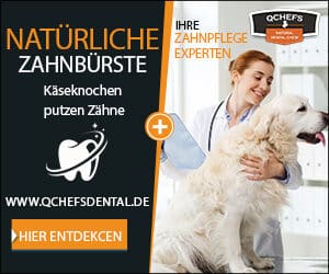 QCHEFS - Natural Dental Chew