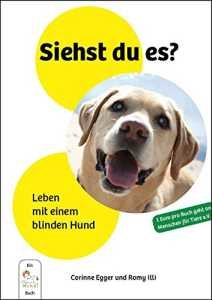 Buch: Siehst du es?