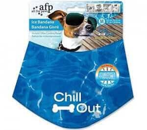 Ice Bandana