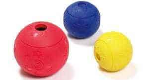 Karlie Futterball