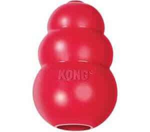 Kong Classic