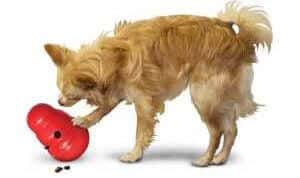 Kong Wobbler