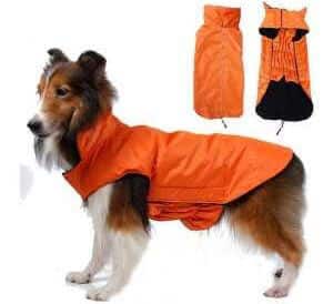 Hundemantel aus Nylon