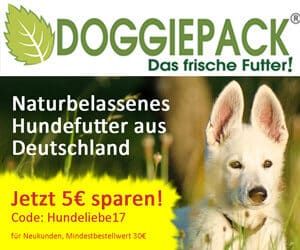 Doggiepack-Hundefutter