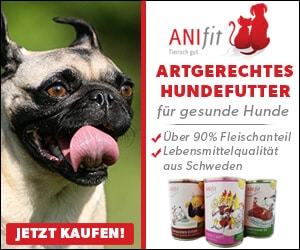 Ihren Hund Einschlafern Lassen Senior Hunde De